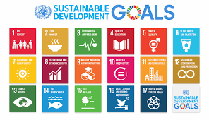 17 sustainable development goals of the united nations