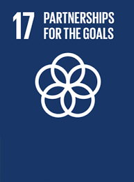 sdg 17