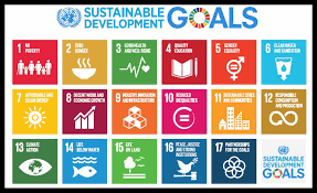 sdg meaning