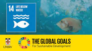 14 sustainable development goals