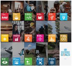 17 sustainable development goals explanation