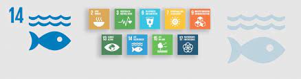 sustainable development goal 14