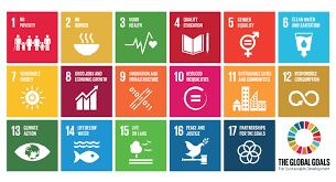 17 millennium development goals