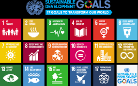 united nations global goals