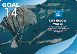 goal 14 life below water