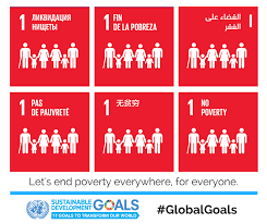 sdg goal 1