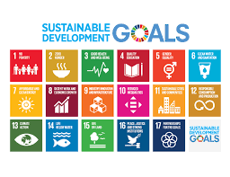 17 sustainable