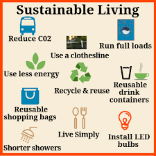 live a sustainable life