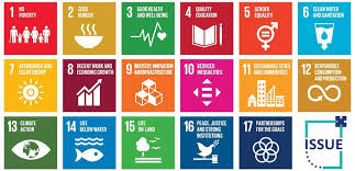 more sustainable lifestyle