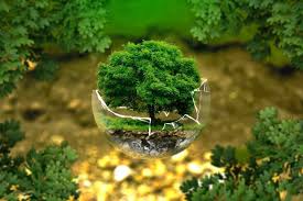 sustainable lifestyle examples