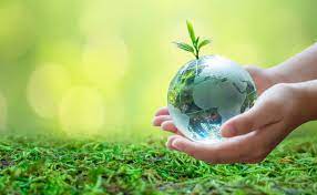 environment