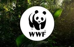 best environmental charities