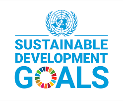 sdg development
