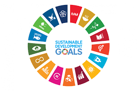 sustainability sdg