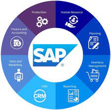 sap course