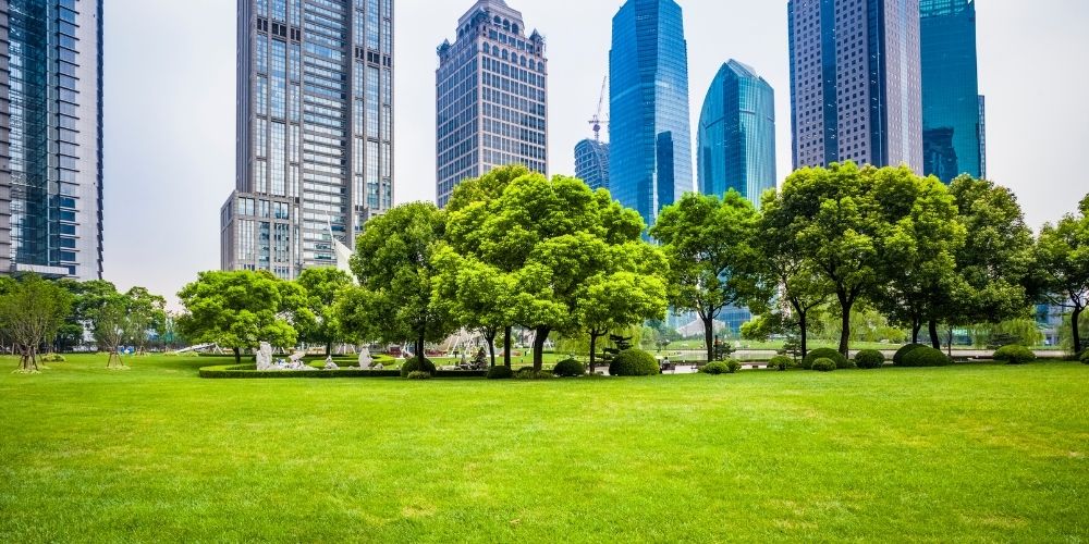 eco city