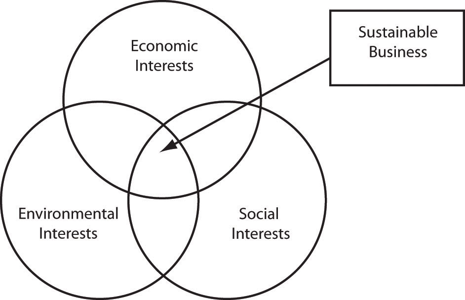 environmental sustainability in business