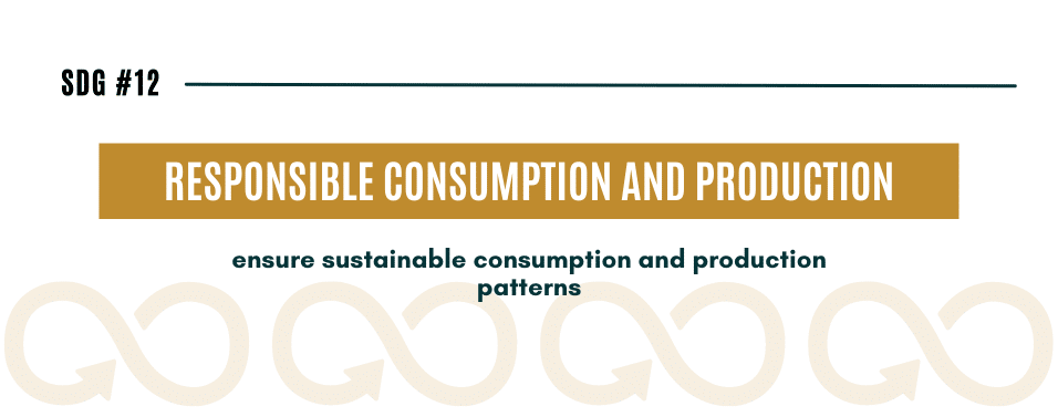 sdg goal 12